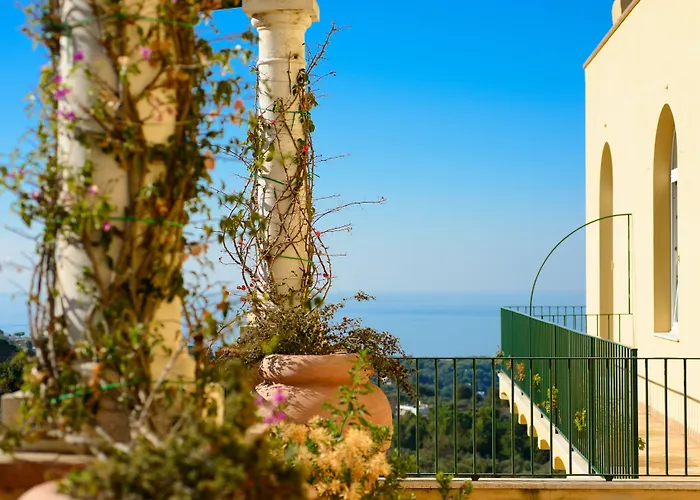 シーザー アウグスツゥス 5*